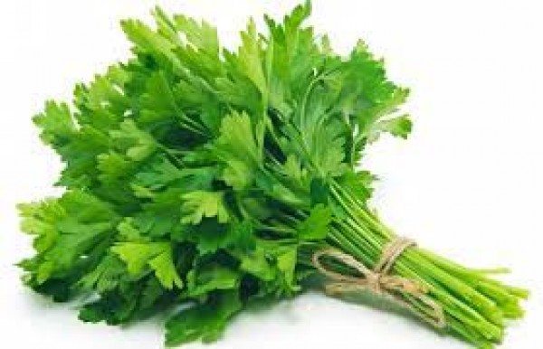 Coriander Leaves (Dhoniya Pata) – 100gm